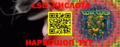 бошки Донской