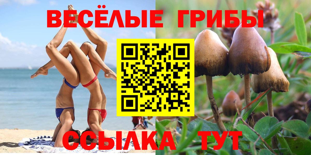 Галлюциногенные грибы ЛСД Медногорск