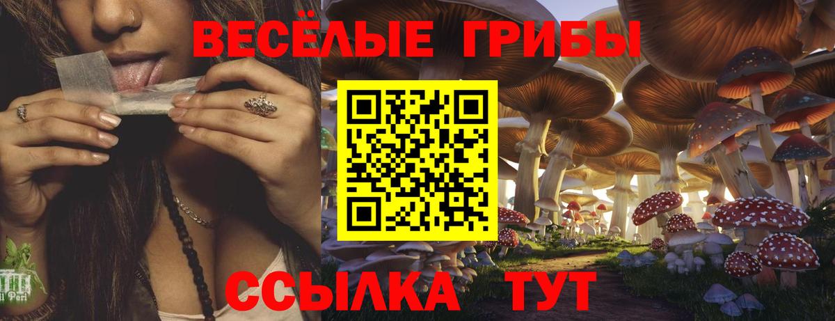 Псилоцибиновые грибы Cubensis  Галлюциногенные грибы Psilocybine cubensis  Медногорск  Вход с VPN 